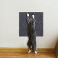thumbnail image 6 of Cat Climbing Mat Self-Adhesive Sofa Furniture Protector Mat (30x30cm Dark Grey), 6 of 7