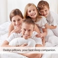 thumbnail image 2 of Dreamy Nights Bed Pillows, Queen Size Down Alternative, Breathable and Fluffy for Every Sleeper, 2 of 6