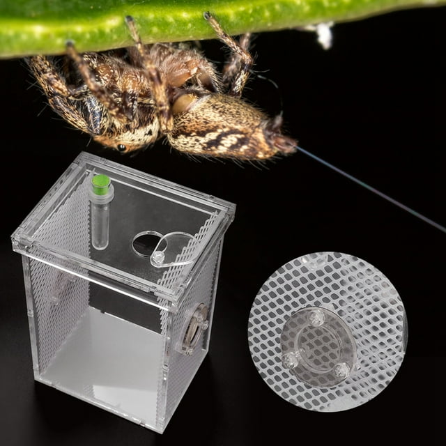 Reptiles Terrarium,Acrylic Transparent Wet Reptiles Insect Terrarium Reptiles Breeding Box Striking Appearance