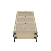 Hassch Rattan Shoe Cabinet for Entryway, Hidden Shoes Storage Cabinet, Boho Narrow Shoe Organizer with 3 Flip Drawers, Freestanding Wood Shoe Cabinet with Metal Legs for Foyer, Hallway (Natural)