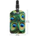 thumbnail image 6 of Square 2Pack PU Leather Peacock Feather Cruise Luggage Tag with Privacy Cover and Name ID Tag for Travel Handbags Backpacks Luggage Tags, 6 of 6