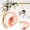 P, variant on 1-Pack Artificial Peonies Heads, 2.36 Inch Silk Faux Peony Head for Wedding/Bouquet/Flower Wall/DIY Crafts/Party Decoration, Retro Large Flower Heads Buds [6cm]