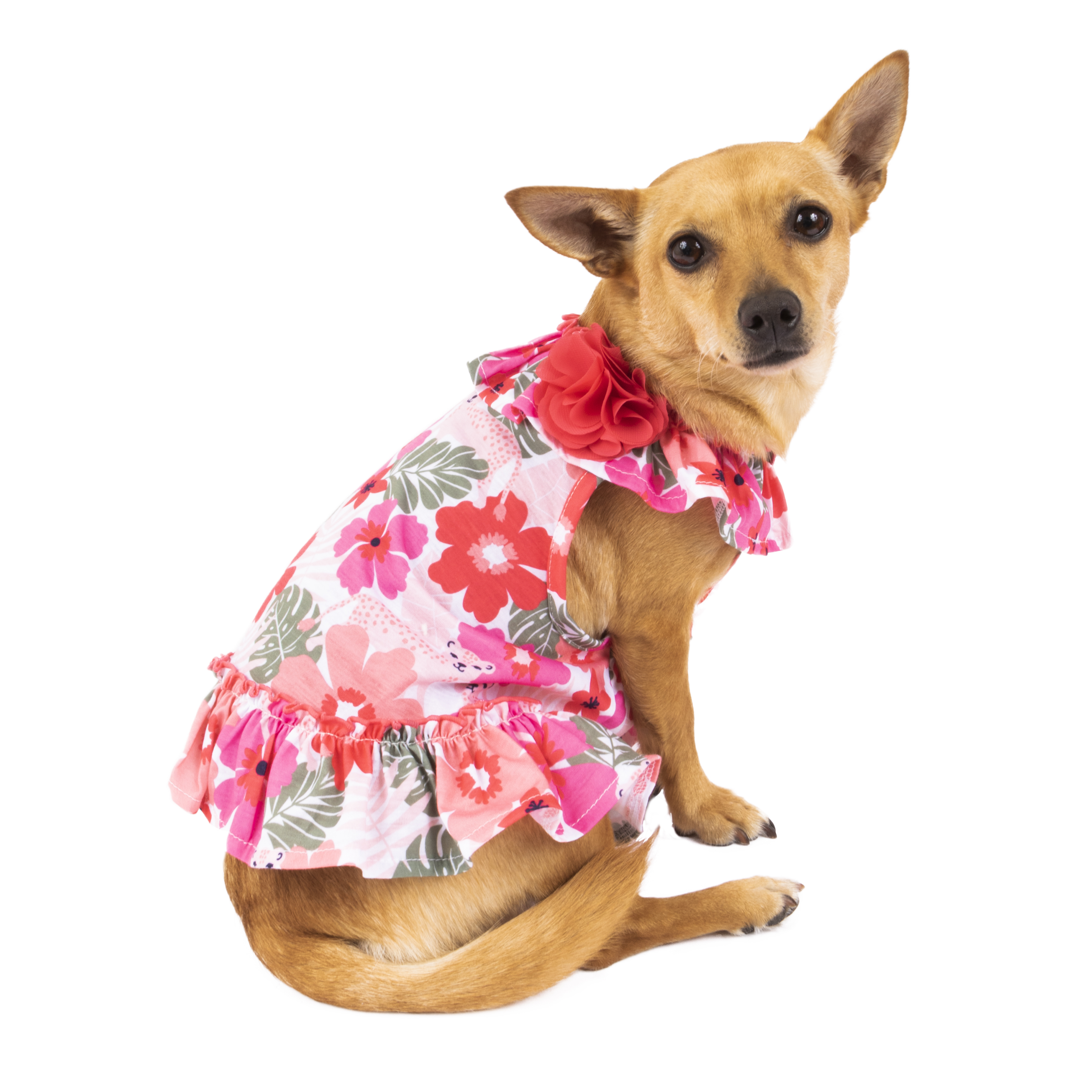 Vibrant Life Floral Print Dog Dress Xx Small Walmart Com Walmart Com
