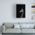 thumbnail image 4 of Trademark Fine Art Frank Ma Im Not Happy Canvas Wall Art, 4 of 4