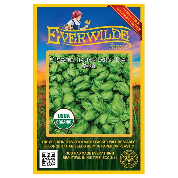 Everwilde Farms - 1000 Organic Italian Large Leaf Basil Herb Seeds - Gold Vault Jumbo Bulk Seed Packet
