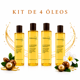 thumbnail image 1 of Kit de 4 Óleos para el Cabello Terramar Nutre, Repara y Protege con Extractos Oleosos de Argán, Macadamia y Monoi de Tahití 98 ml, 1 of 5