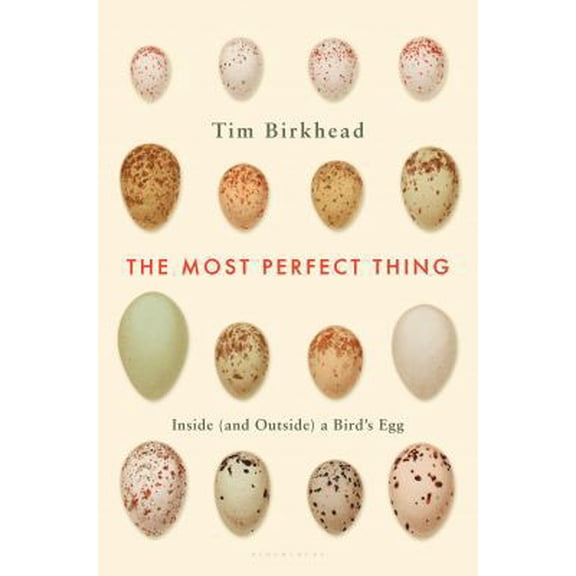 Pre-Owned The Most Perfect Thing: Inside (and Outside) a Bird's Egg (Hardcover) 1632863693 9781632863690
