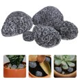 thumbnail image 1 of OUNONA 6Pcs Decorative Landscape Rocks Grey Micro Landscape Decor with Realistic Appearance for Garden Enhancement, 1 of 8