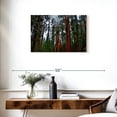thumbnail image 3 of Elephant Stock Vibrant Redwood Wall Art - Horizontal Canvas Wall Art - Living Room Wall Decor - Floral And Botanical Canvas - Brown And Red Decor - 30" x 20", 3 of 8