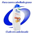 thumbnail image 4 of Shampoo Control Caspa Head & Shoulders Limpieza y Revitalización 375 ml, 4 of 5