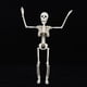 thumbnail image 1 of Decoración de Esqueleto Articulado para Halloween | Esqueleto de Plástico con Articulaciones Móviles | Esqueleto Humano Realista y Flexible para Interiores y Exteriores, Casas Embrujadas, Cementerios, 1 of 1