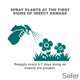 thumbnail image 4 of Jabón concentrado para matar insectos Safer 5118-6 para plantas, 4 of 9