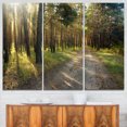 thumbnail image 1 of Road Through Green Pine Forest, 1 of 1