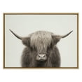 thumbnail image 2 of Kate and Laurel Sylvie Hey Dude Highland Cow Color Framed Linen Textured Canvas Wall Art by The Creative Bunch Studio, 31.5x41.5 Natural, Rustic Animal Wall Decor Art Piece, 2 of 6