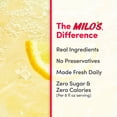 thumbnail image 6 of Milo's Zero Sugar Lemonade -128 fl oz, 6 of 12