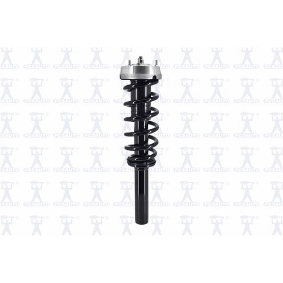 Suspension Strut and Coil Spring Assembly
