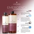 thumbnail image 2 of Paquete de 36 lociones para piel seca, loción corporal para mujeres y hombres, regalos para el día de la madre, regalos de agradecimiento para profesores, humectantes corporales perfumados con plantas, 2 of 5