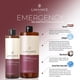 thumbnail image 2 of Paquete de 36 lociones para piel seca, loción corporal para mujeres y hombres, regalos para el día de la madre, regalos de agradecimiento para profesores, humectantes corporales perfumados con plantas, 2 of 5