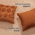 thumbnail image 3 of Burnt Orange Fall Pumpkin Decorative Throw Pillow Covers Set of 2, 20x20 Inch Soft Plush 3D Embroidered Halloween Pillow Covers for Fall Decorations Farmhouse Cushion Covers for Thanksgiving, 3 of 9