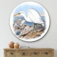 thumbnail image 2 of Designart 'Ancient Australian Birds XIII' Traditional Circle Metal Wall Art 36x36 - Disc of 36, 2 of 5