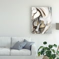 thumbnail image 3 of Trademark Fine Art 'Horse Abstraction II' Canvas Art by Jennifer Paxton Parker, 3 of 4