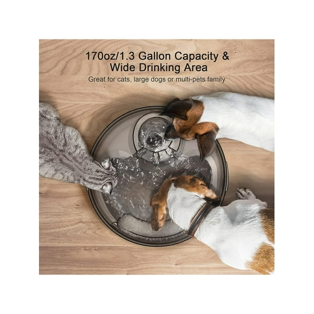 NPET DF10 Dog Water Fountain, 170oz/1.3Gallon/5L Large Automatic Pet
