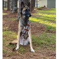 thumbnail image 4 of Disfraz de perro ComfyCamper Utility Belt Halloween 2024, XS-XL, 4 of 5
