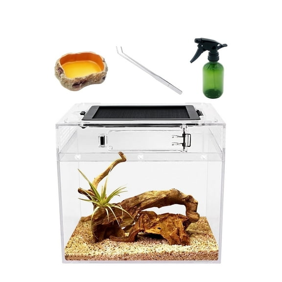 Mini Reptile PC Terrarium Starter Kit Habitat Cage,8x8x7inch Amphibian Tank ,for Insect,Fish,Tarantula,Turtles,Jumping Spiders and Small Reptiles