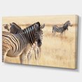 thumbnail image 2 of Zèbre en Etosha Errant dans l'Herbe - Impression d'Art sur Toile Africaine, 2 of 3