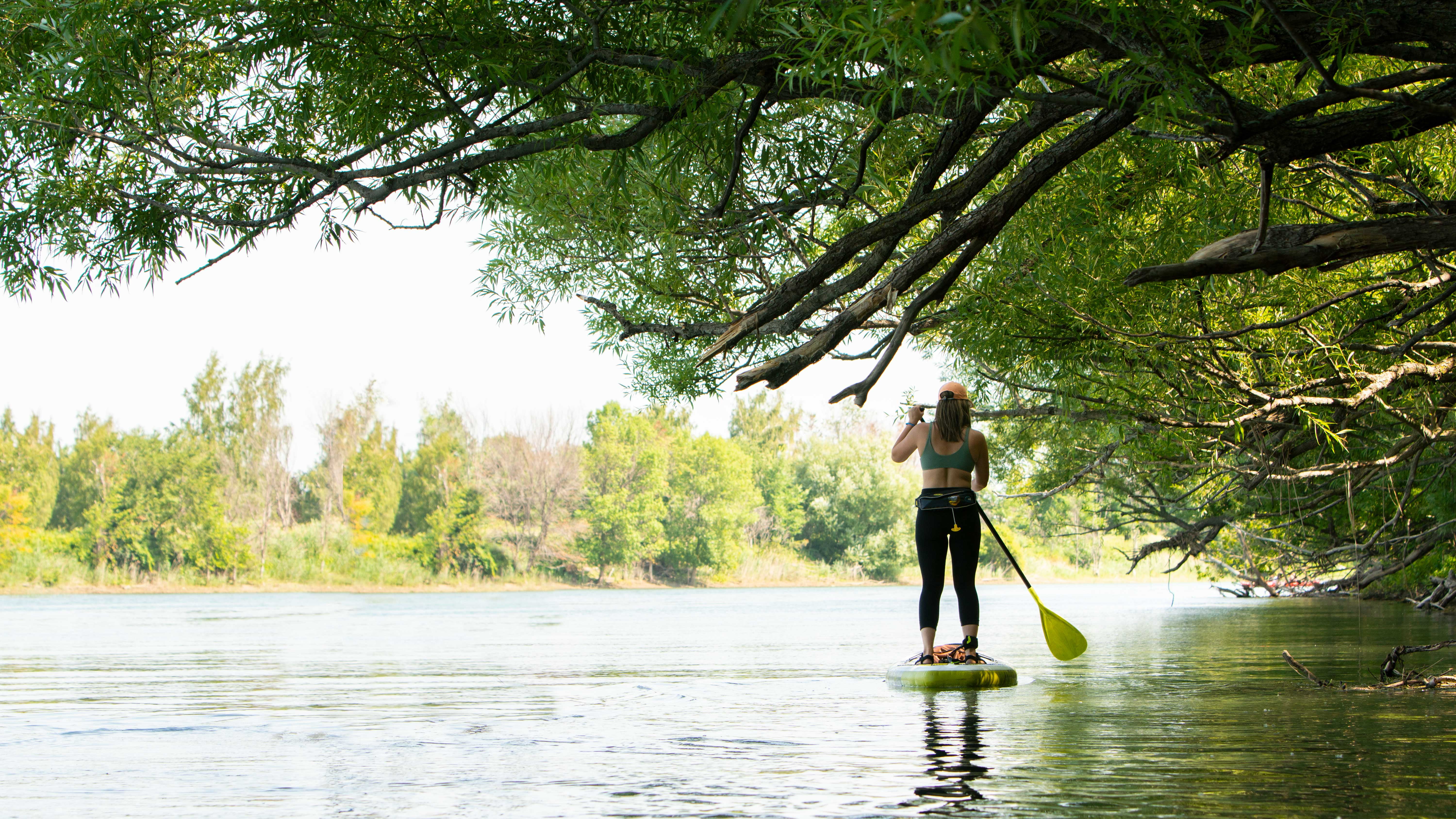 Pelican - Vortex SUP Paddle 70"-87"