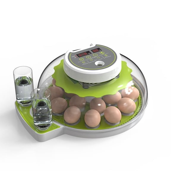 eGG iNCUBATOR FOR hATCHING eGGS WITH aUTOMATIC eGG tURNING & hUMIDITY cONTROL – dUAL pOWER sUPPLY cHICKEN eGG iNCUBATOR, qUAIL, dUCK, rEPTILE hATCHERY, sMALL dIGITAL sMART iNCUBATOR (18 eGGS)