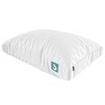 thumbnail image 1 of Sleepgram Bed Support Sleeping Pillow with Microfiber Cover, Queen Size, White, 1 of 12