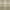 Olive, variant on Nourison Grafix Plaid Blue 2'3" x 7'6" Area Rug, (2x8)