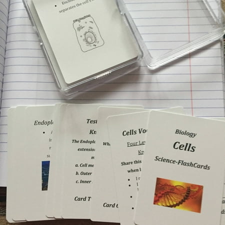 Science Flash Cards - Walmart.com