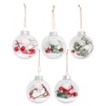thumbnail image 1 of 1 Set 5 Pcs Christmas Tree Decorations Plastic Transparent Christmas Balls, 1 of 6