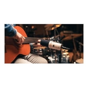 Universal Audio SD-1 Standard - Microphone
