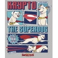 thumbnail image 2 of Boy's DC League of Super-Pets Krypto the Superdog Comic  Pull Over Hoodie Athletic Heather Medium, 2 of 4
