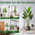 thumbnail image 7 of Bird of Paradise Artificial Plant 5 ft Faux Banana Leaf Plant Indoor, Fake Palm Tree with Pot for Home Office Living Room Decor - Upgraded Artificial Bird of Paradise Tree, 7 of 7