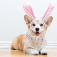 thumbnail image 4 of Collar de perro Lionheart Glory con estampado de huevos de Pascua para perros grandes, 4 of 5