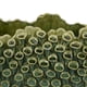thumbnail image 4 of Cuenco decorativo Benzara Nina Green Ceramic 36cm, 4 of 5
