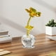 thumbnail image 5 of Adorno de Hierba de Cristal, Pieza Decorativa de Regalo de Vidrio, Accesorio Único para El Escritorio Del Hogar, Elegante Luz Led, Amuleto de La Suerte para Amigos, Regalo para Ocasiones Especiales,, 5 of 6