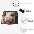 thumbnail image 3 of Balery Cow With Butterflies Calzoncillos bóxer para hombre, ropa interior de algodón suave y transpirable con cinturilla de nailon-Large, 3 of 5