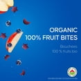 thumbnail image 3 of SunRype Organic Fruit Bites Apple Blueberry, 3 of 7