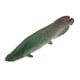 thumbnail image 2 of Modelo Animal estático Juguetes de aprendizaje Conoscitivo para , Pirarucu Hugo  Figuras de criaturas oceánicas, 2 of 8