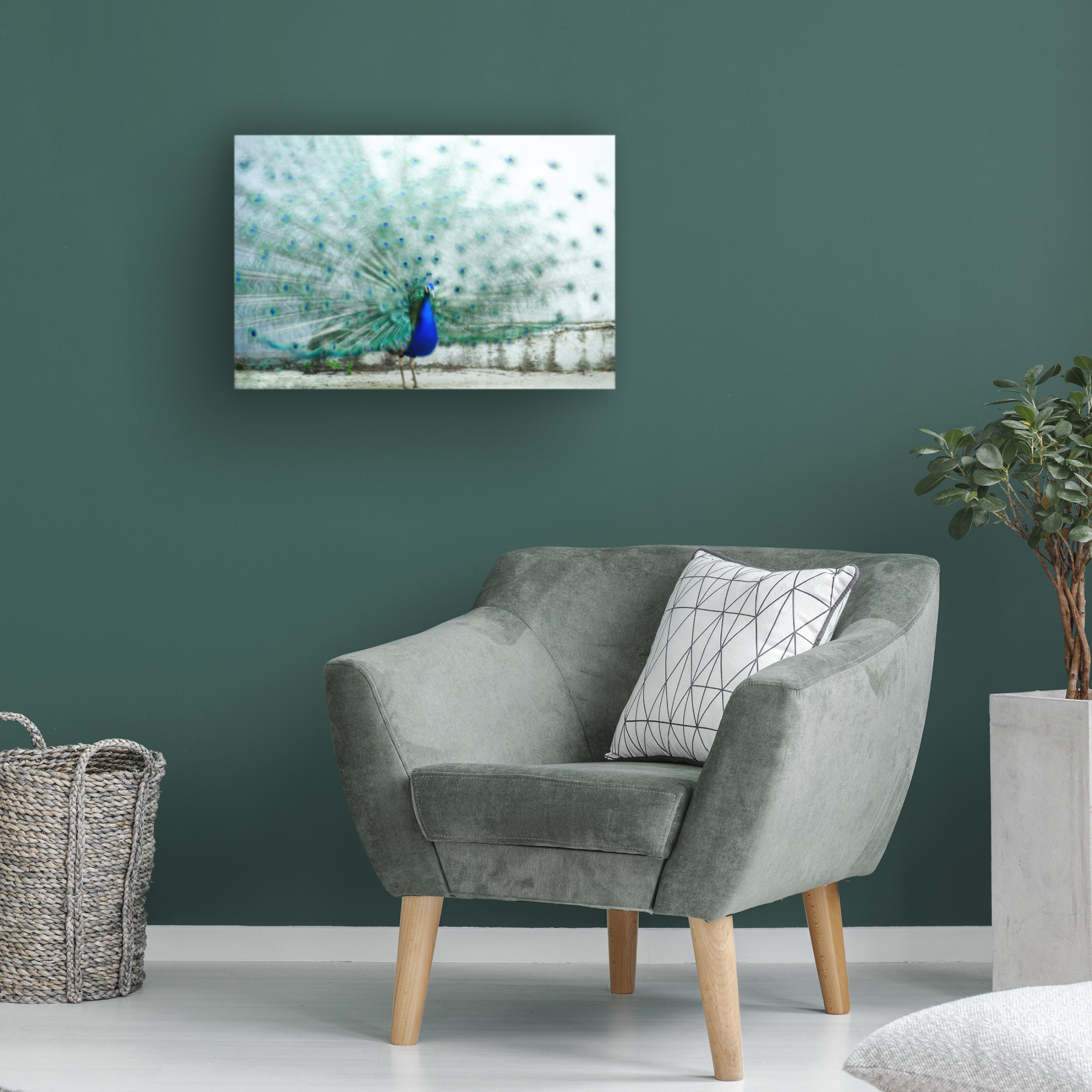 Trademark Fine Art Piera Polo  Peacock Canvas Wall Art