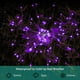 thumbnail image 4 of Lámparas de Fuegos Artificiales Solares JJGoo Paquete de 2 con 120 LED, IP65, Morado, 4 of 7