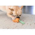 thumbnail image 2 of Juguete Interactivo Petstages Zanahoria para Perros, 2 of 8