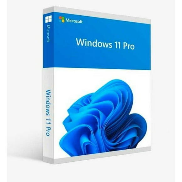Microsoft Windows 11 Pro 64-bit Operating System - USB Flash Drive