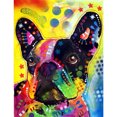 thumbnail image 1 of Peinture Diamant 5D DIY Colorée, 1 of 3