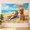C, variant on XaaKee Large Wall Tapestry, Chubby Cat In Leopard Bikini With Golden Retriever, High-Quality Polyester Tapestry For Bedroom, 60x40Inch